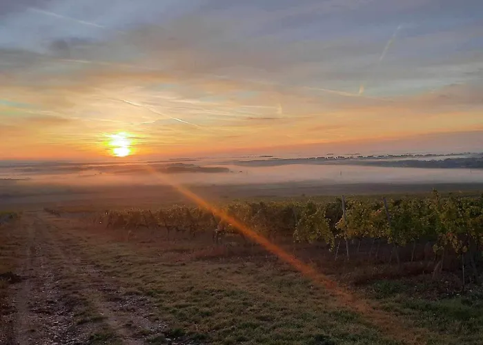 Semesterbostad Kurucz *